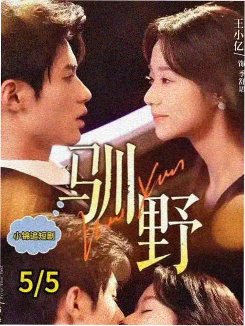 访谈人文综艺深夜书店在线观看